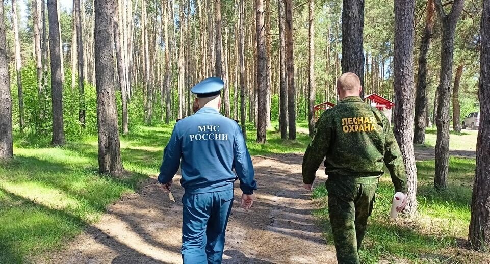    Комитет лесного хозяйства хозяйства Московской области