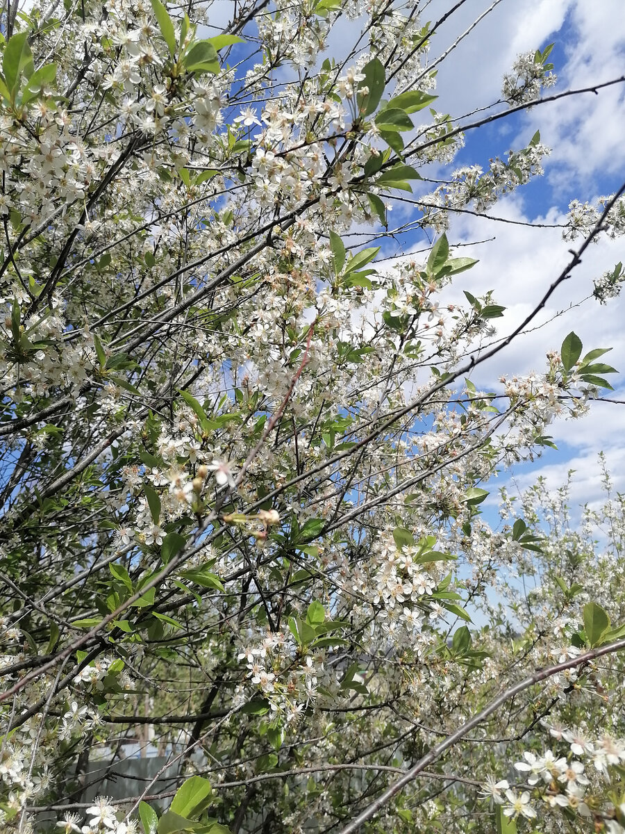 Личное фото автора 