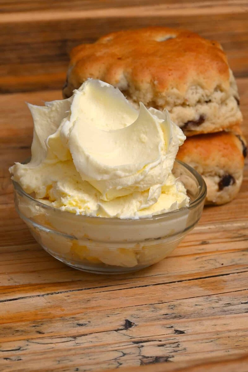 Cортовое название моего раскудрявого вариегатного плюща - Clotted Cream, что значит "топленые сливки", особый английский продукт для намазывания на булочки.-2