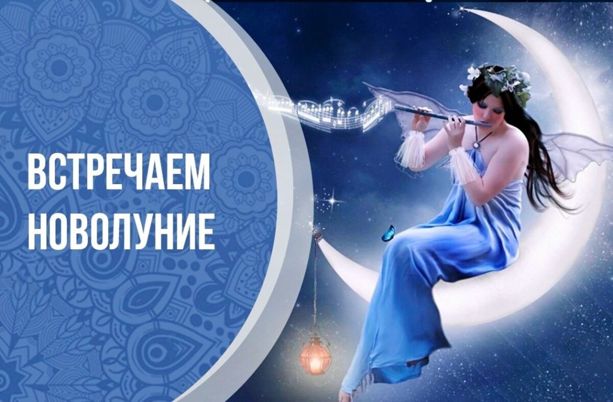 Фото из открытого интернет  источника 