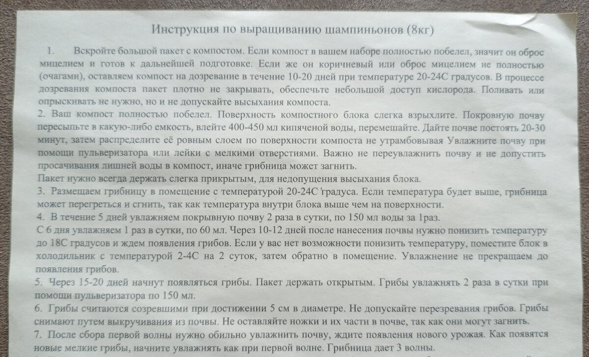 Эксперименты на кухне