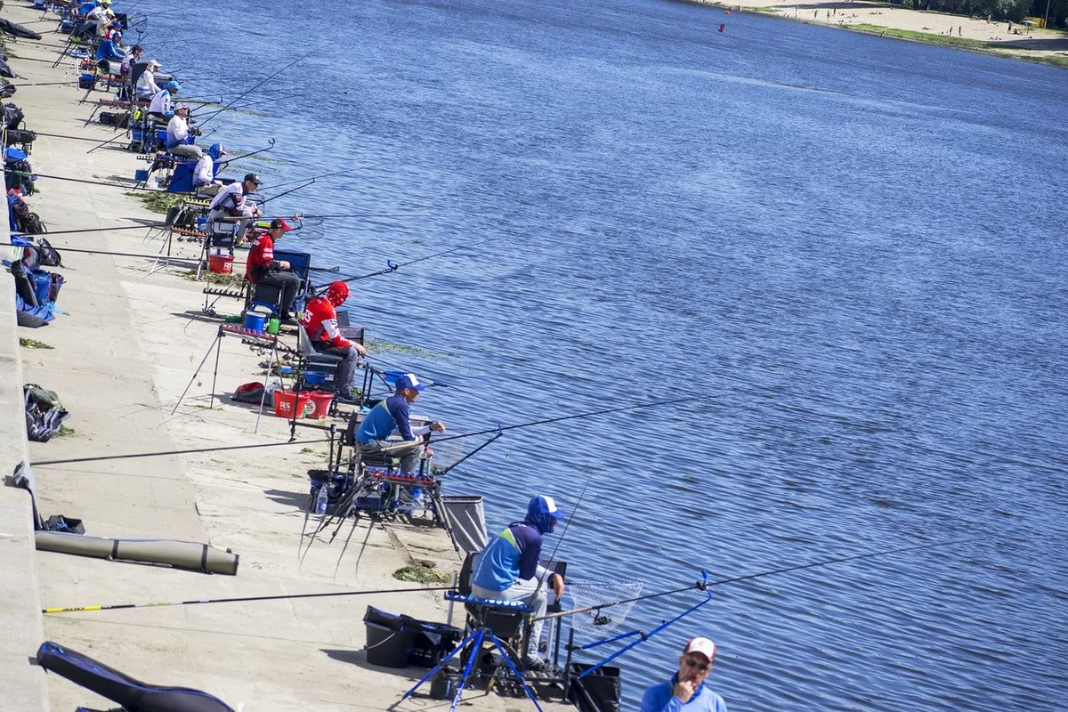 Фото с сайта: https://odelax.ru/wp-content/uploads/2022/09/chemp-ryb.jpg