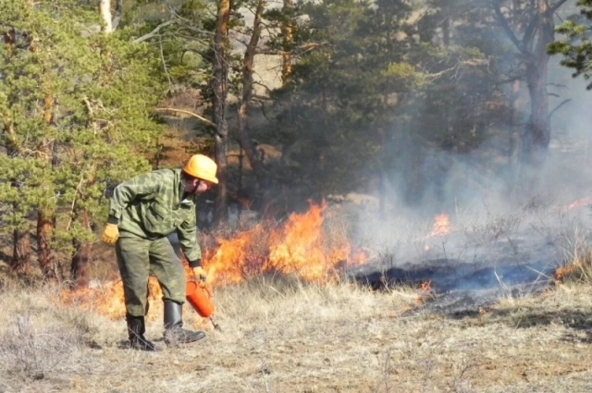    Полный запрет на посещение лесов ввели в Бурятии