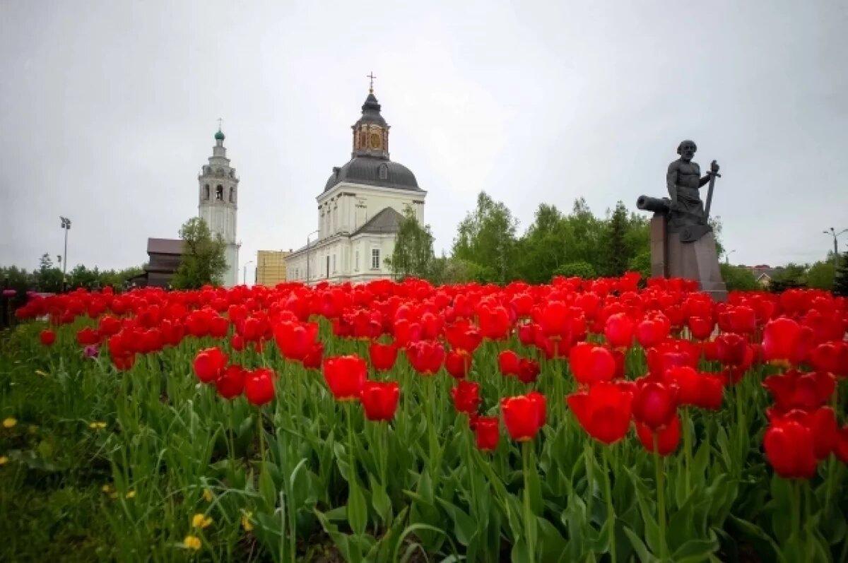    В Туле 27 мая прогнозируют малооблачную погоду и до +23