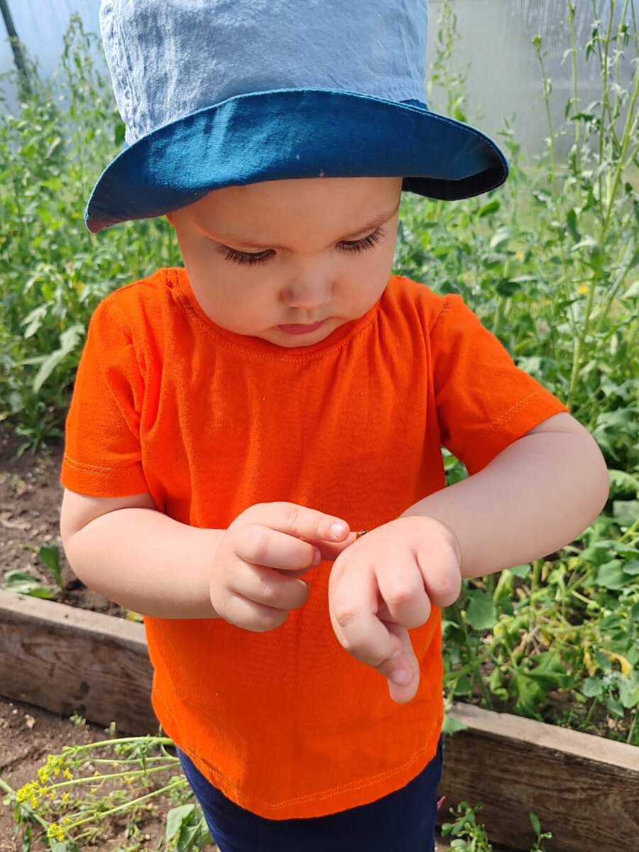 Насекомые - наше всё сейчас 