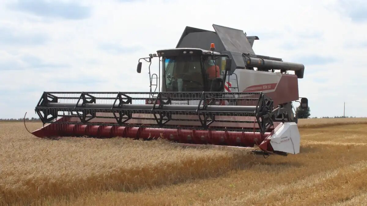 Фото: © Артем Борисов / Glavpahar.ru Уборка на полях агрохолдинга «АгроТерра» в Курской области (фотография иллюстративная)