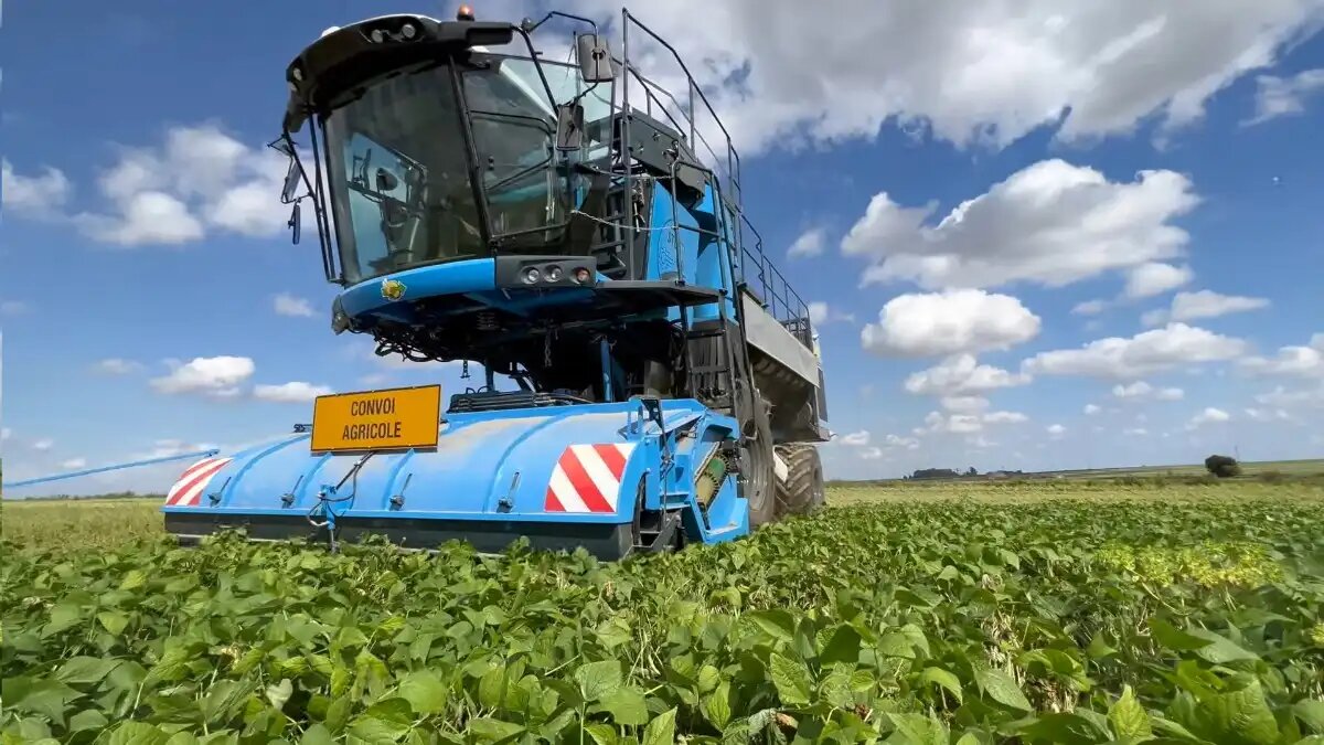 Во Франции показали прототип самоходного комбайна для уборки гороха и  фасоли | ГлавПахарь | Дзен