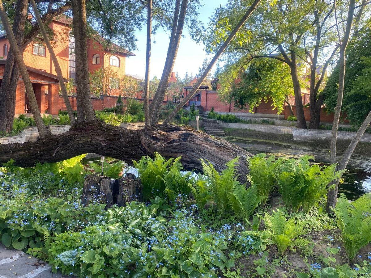 Кто-то превратил пожарный водоём в минипарк