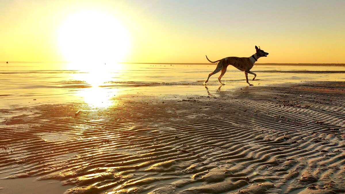 Место, где хорошо всем