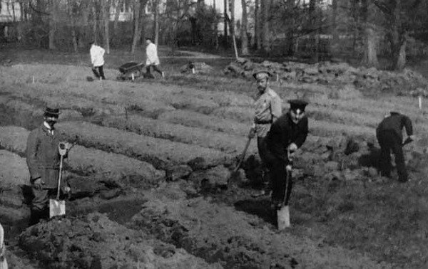 Николай II на грядках