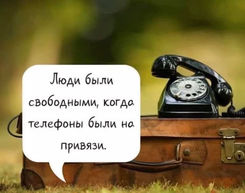 Картинка из интернета