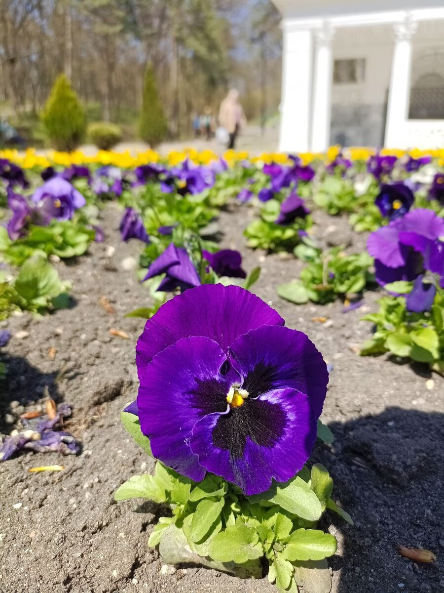фото из личного архива