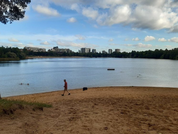     Водоемы в которых обитают утки, стоит обходить стороной. Фото: «МК в Питере»