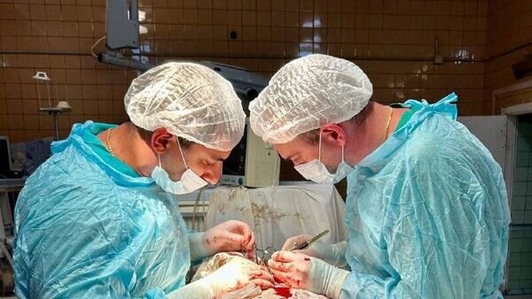    © Photo : Пресс-служба главы и правительства РСО-Алания