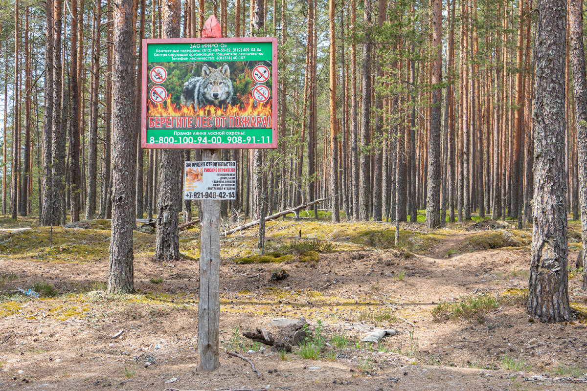 Поход одного дня по окрестностям Укрепрайона Инкиля (Inkilä). Заказники,  водопад, доты, маяк, Агрикола и памятник труду. | Фотограф Алексей Николаев  | Дзен