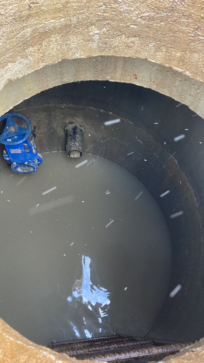 А так выглядели фото