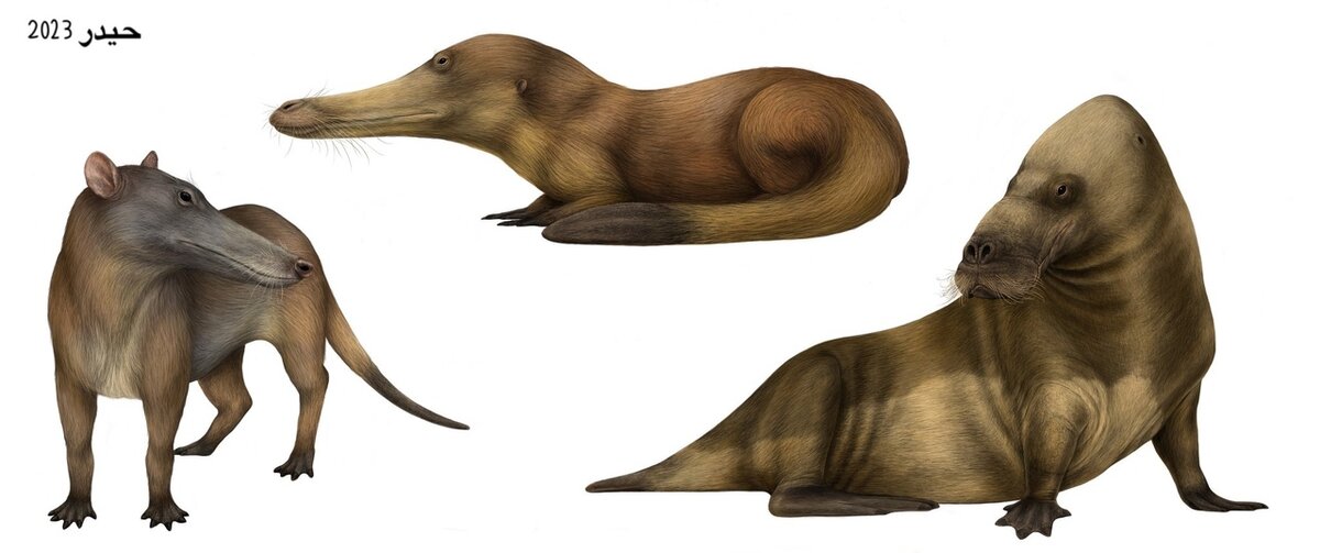 Макарацет (Makaracetus bidens) — самый необычный предок китов. | Paleo ...