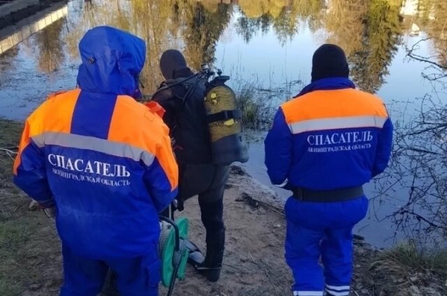    Фото: МЧС по Ленинградской области