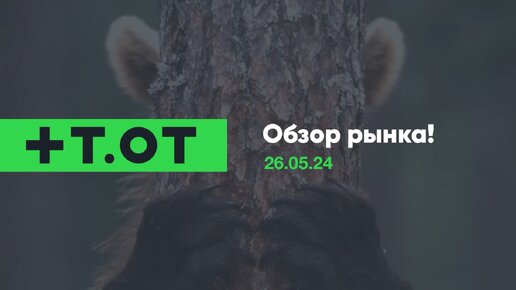 ✅Обзор рынка от 26.05.24