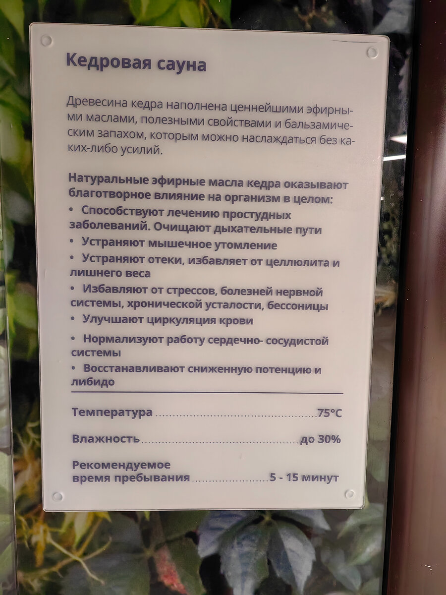 фото автора /листайте далее