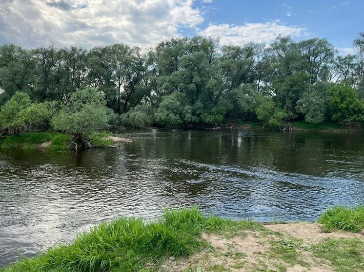     Фото: пресс-службы регионального СУ СК РФ