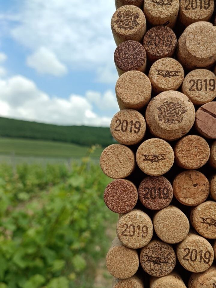 Фотозона на виноградниках в 2023 