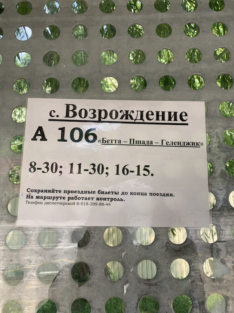 В поисках дольменов, или Геленджик - это не только море | От Питера до… |  Дзен