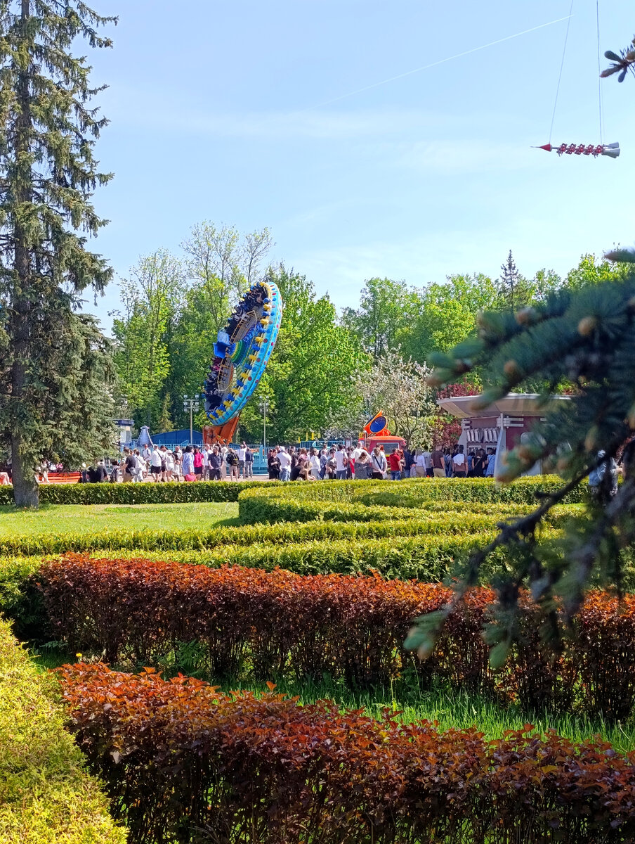 Все фото в статье - авторские.