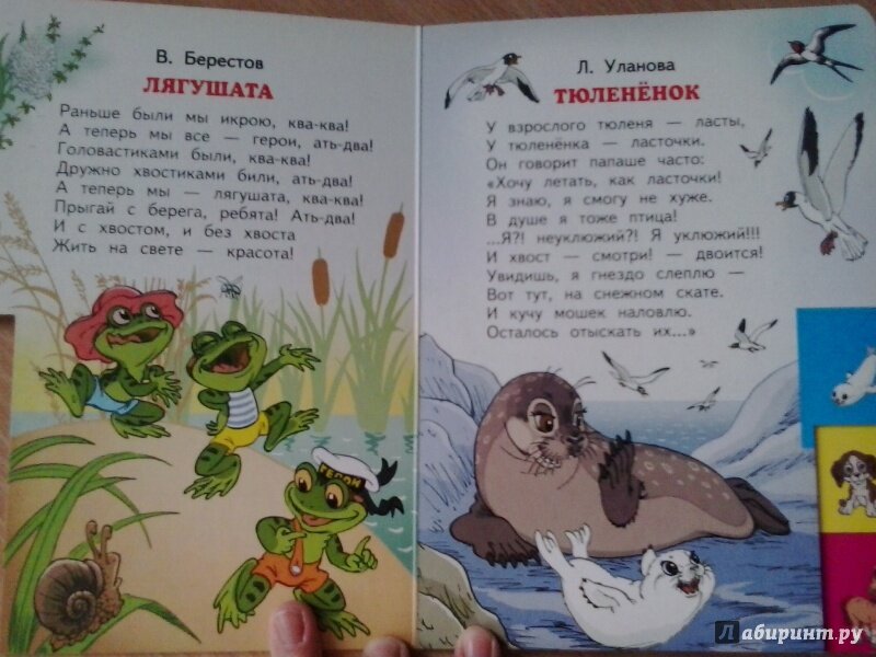 Стихотворение берестова песня лягушек. Портрет берестова. Стихотворение берестова песня лягушек. В д берестов лягушата. Берестов лягушата презентация.