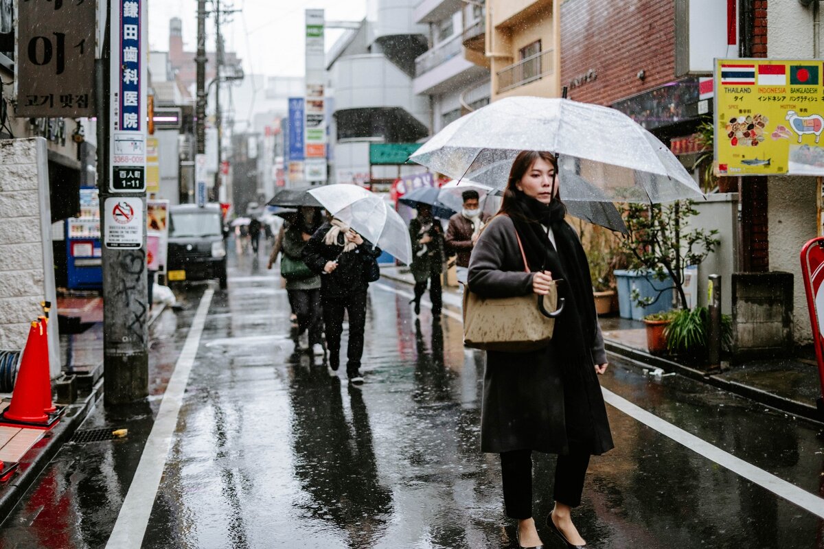 Такая погода была в Токио