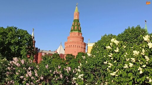 ✨Прогулки по Москве 🌞Памятник князю Владимиру Великому✨ В Александровском саду цветет сирень😻👱‍♀️ Шуршик и Светлана в Москве