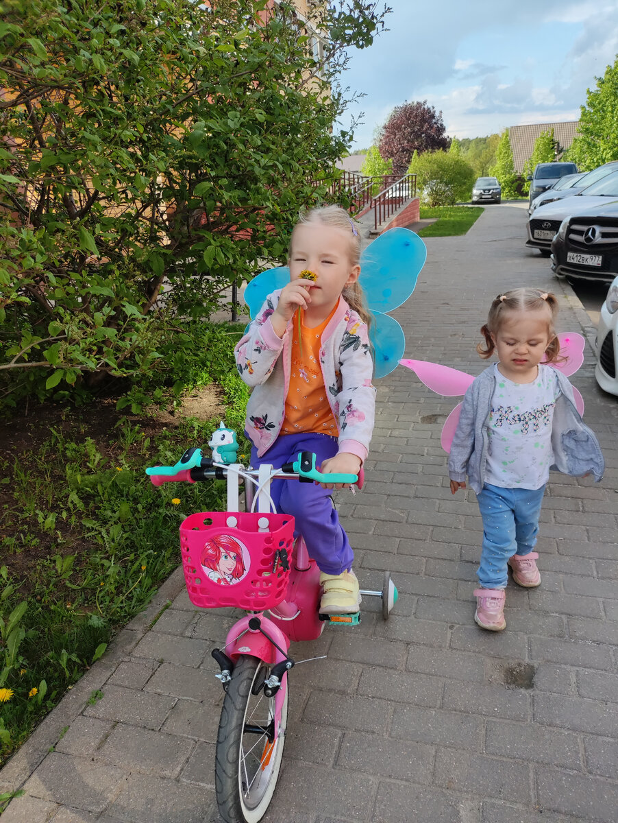 Две бабочки