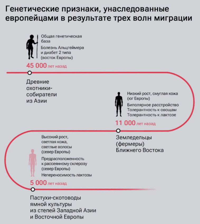 Генетические изменения европейцев.