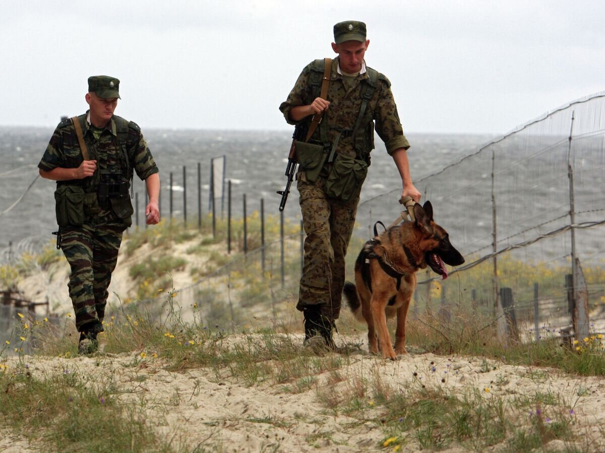    Российские пограничники в наряде на российском участке границы с Польшей© РИА Новости / Игорь Зарембо