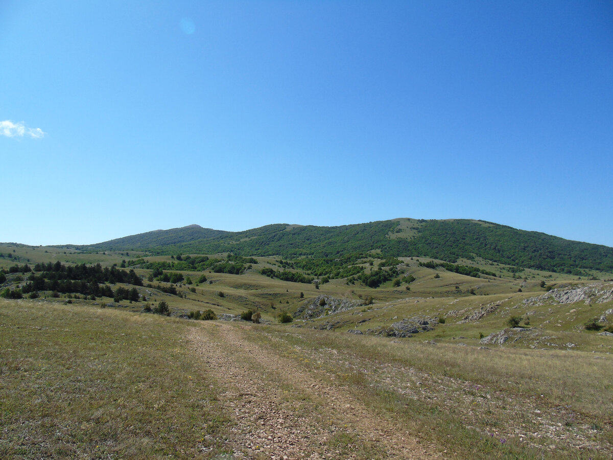 Лесистый хребет Кара-Тау