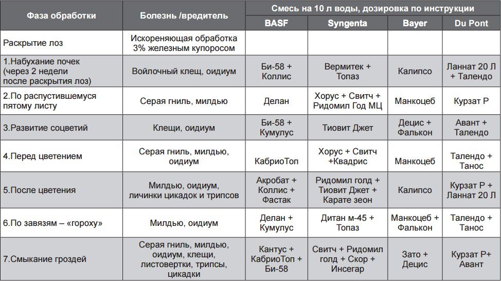 Обработка винограда калием