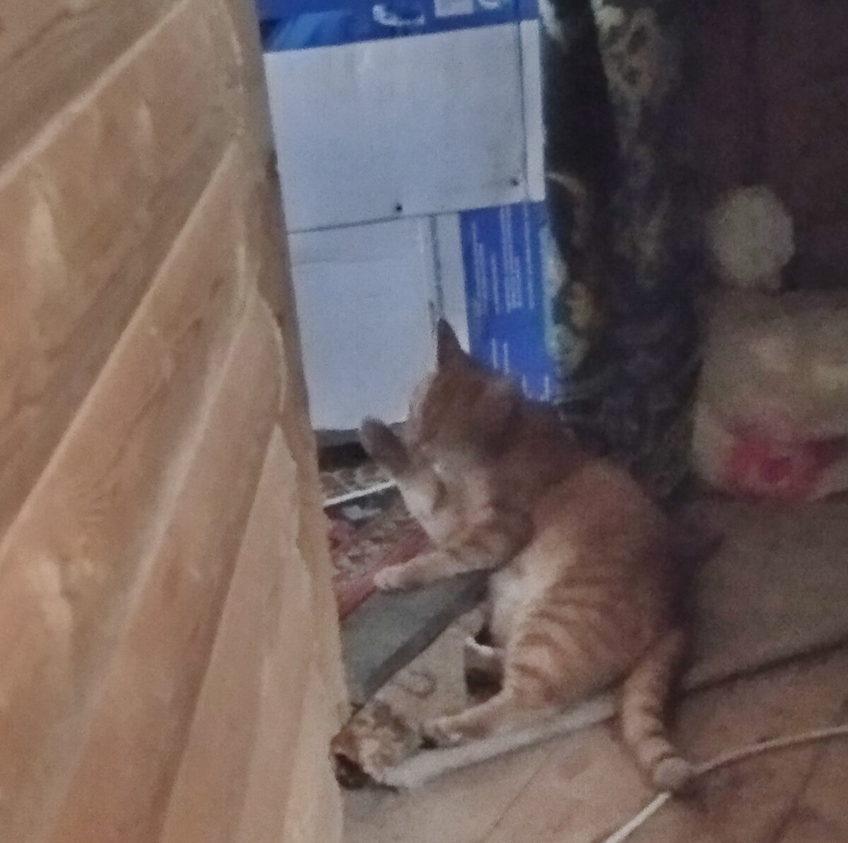 Личное фото.