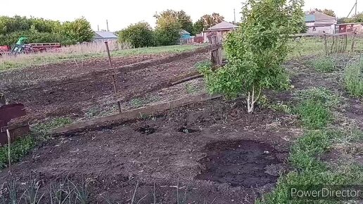 Жизнь в деревне. Что посадила в огороде. Ремонтирую порог