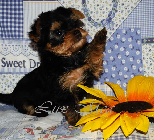 Вот несколько моментов на которые необходимо обратить внимание.