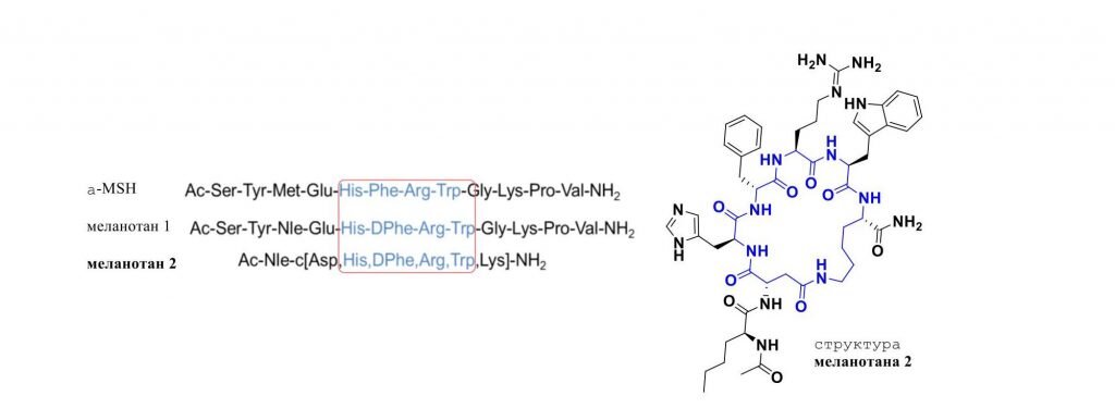 Сравнение аминокислотных последовательностей α-MSH, меланотана 1 и меланотана 2. Структура меланотана 2