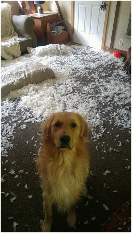 Веселые забавы 