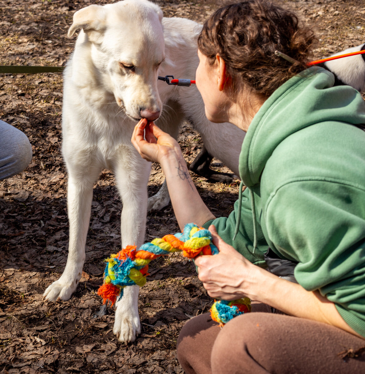 Интересные игры с Принцем