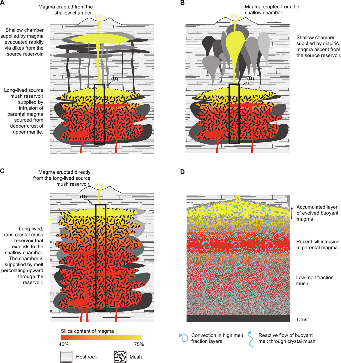 А. Магма, извергнутая из неглубокой камеры. В. Магма, извергнутая из неглубокой камеры. С. Длительно существующий резервуар с транскристаллической вязкой смесью, непосредственно переходящий в неглубокую камеру. Эта камера заполняется магмой, которая пробирается вверх через резервуар. Магма, извергнутая прямо из длительно существующего резервуара с вязкой смесью. D. Аккумулированный слой развитой плавучей магмы. Силл, недавно порождённый материнской магмой. Слабо расплавленная часть вязкой смеси. Кора. Содержание в магме кремнезёма. Конвекция в сильно расплавленных слоях. Реактивный поток плавучего расплава через кристаллическую вязкую смесь. Коренная порода. Вязкая смесь. Неглубокая камера, заполненная магмой, стремительно поднявшейся из резервуара-источника через дайки. Длительно существующий резервуар с вязкой смесью, возникающий благодаря интрузии из верхней мантии. Неглубокая камера, заполненная диапирической магмой, поднявшейся из резервуара-источника.