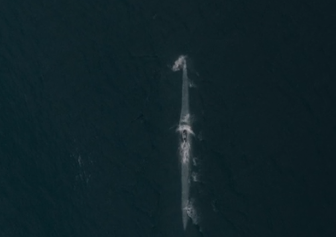 Кадр Das Boot 2018 г.