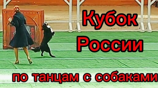 Кубок России по танцам с собаками.