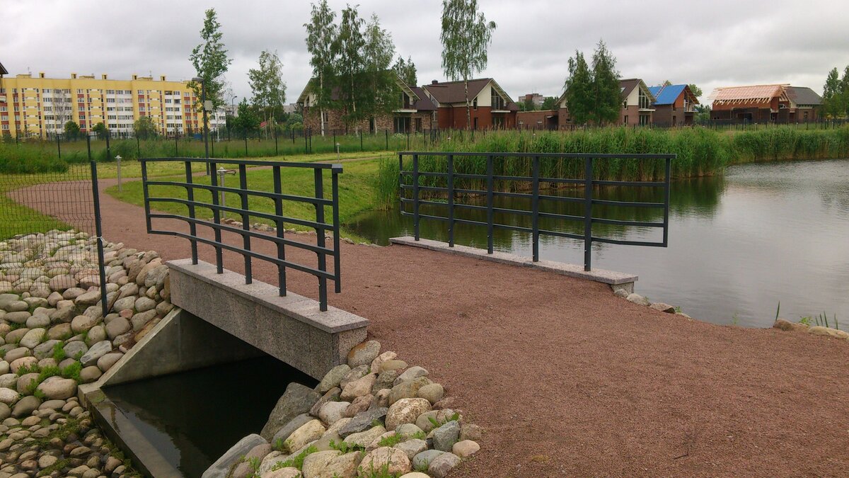 Пруд Бауш и его обитатели