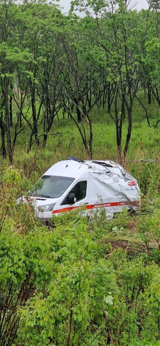     Источник: prim_police