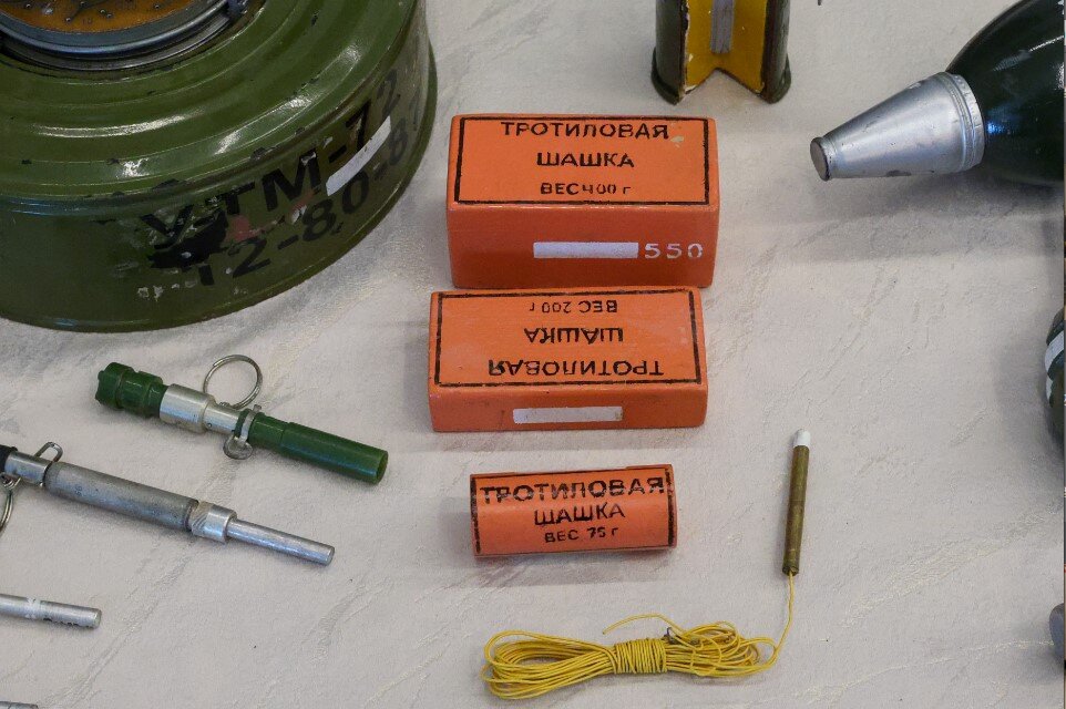    Фото: Petrov Sergey/news.ru/Globallookpress