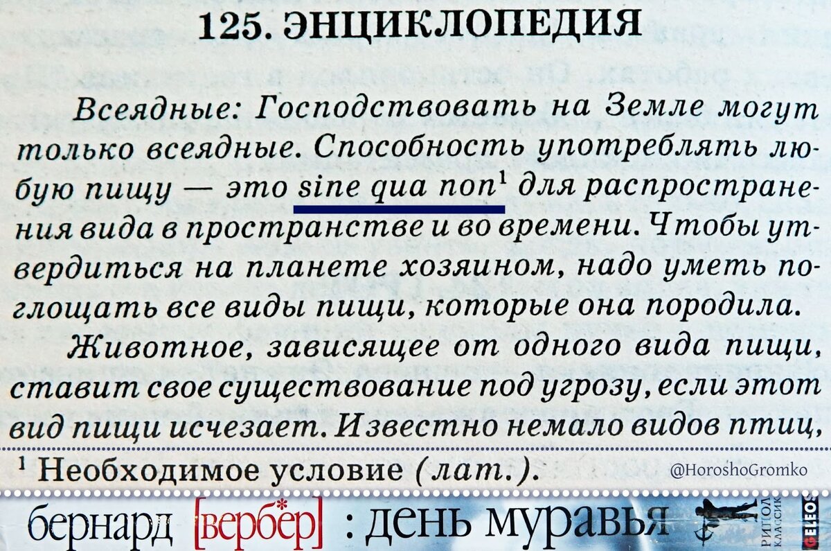 Что значит sine qua non? | Хорошо. Громко. | Дзен