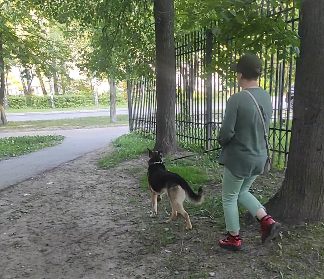 Скрин с видео занятий